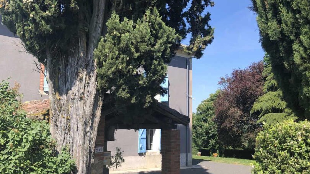 Photo of Others in Gaillac