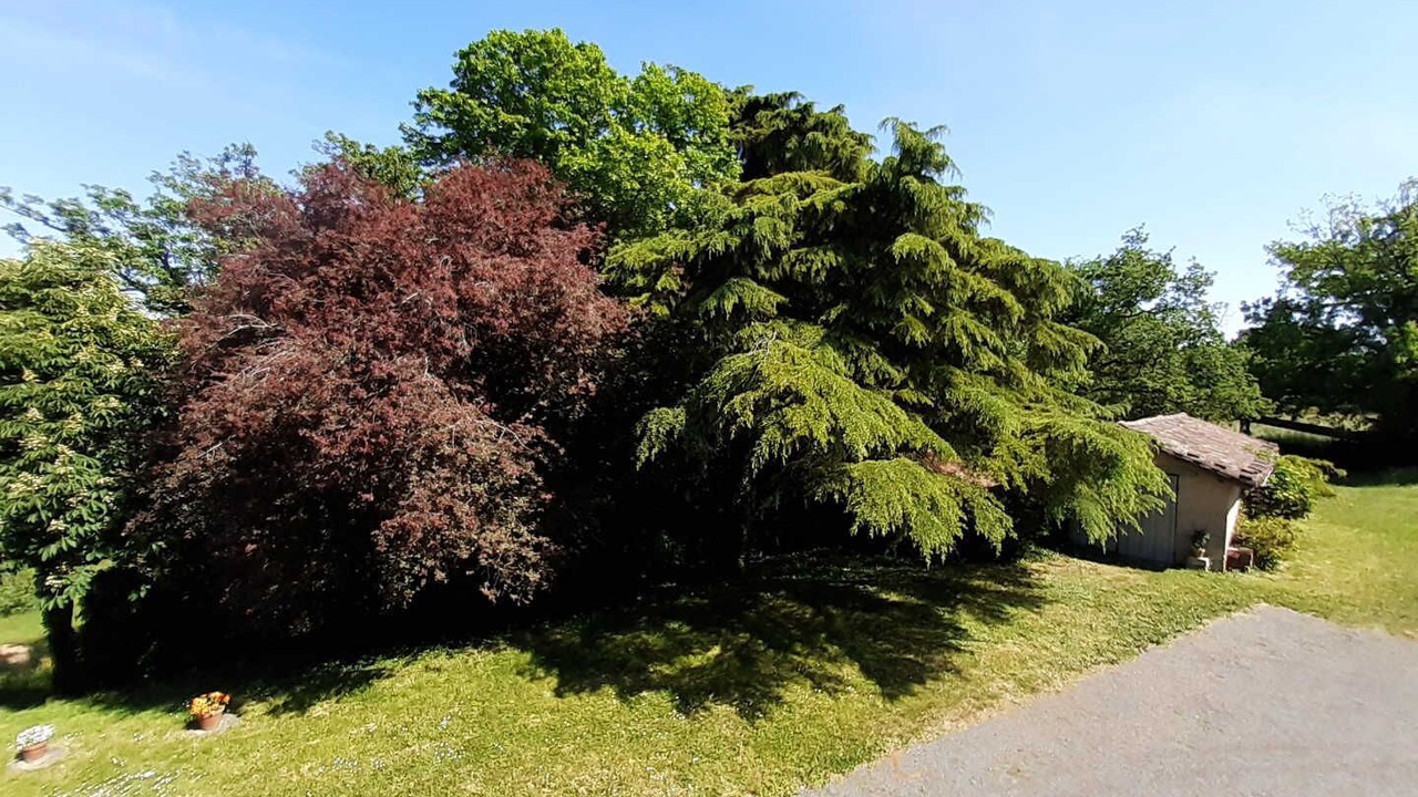 Photo of Outdoor in Gaillac