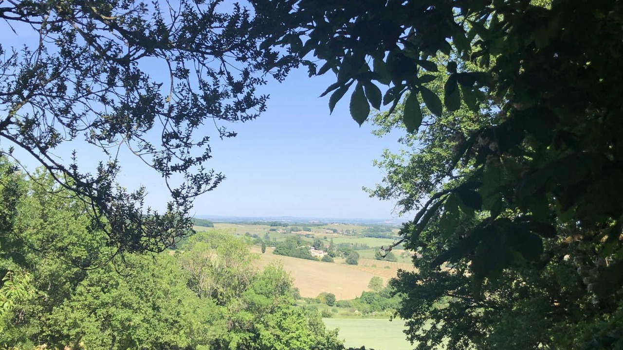 Photo of Others in Gaillac