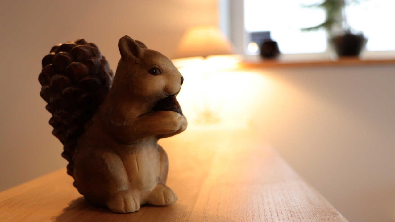 Photo of Others in Nages