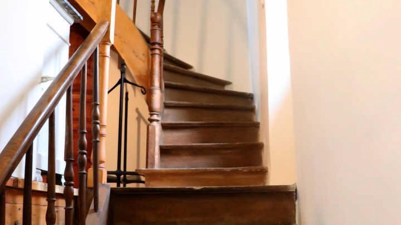 Photo of Others in Nages