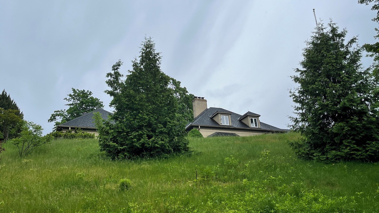 Photo of Outdoor in King