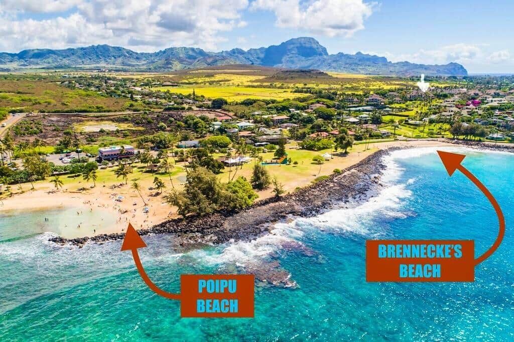 Photo of Others in Bayview