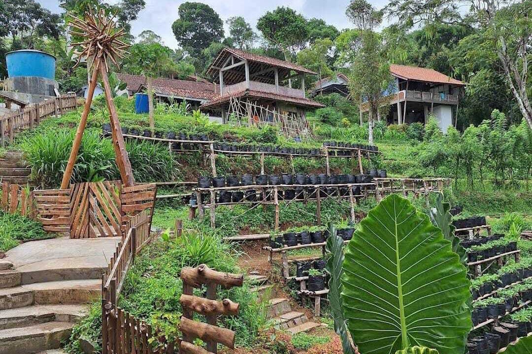 Photo of Outdoor in Kalirejo