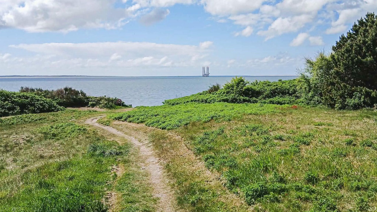 Photo of Others in Esbjerg
