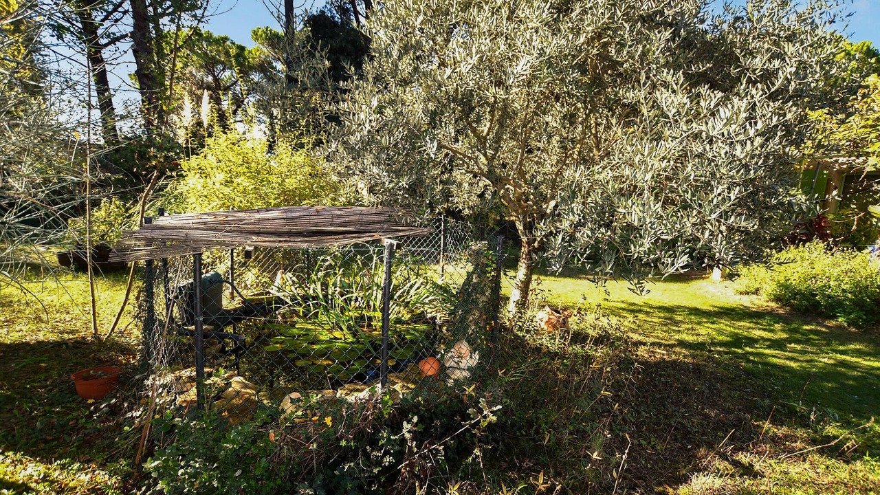 Photo of Others in Mondragon