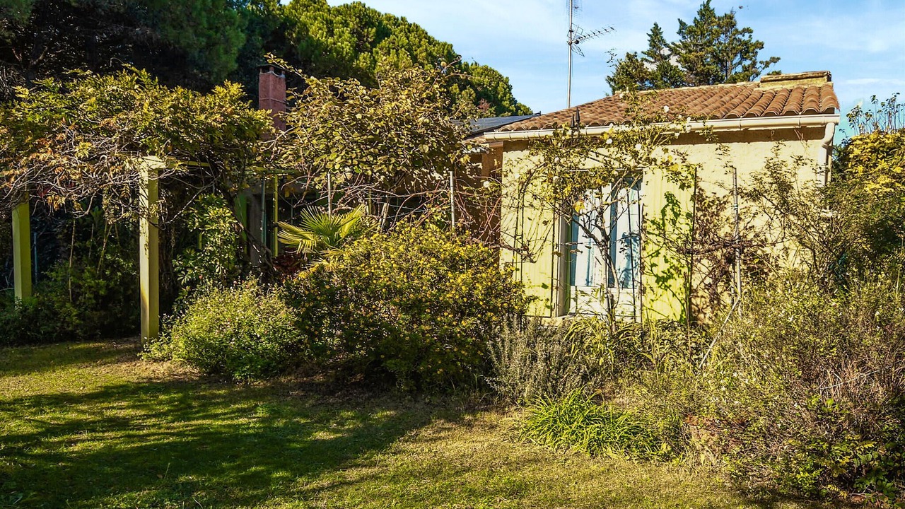 Photo of Others in Mondragon