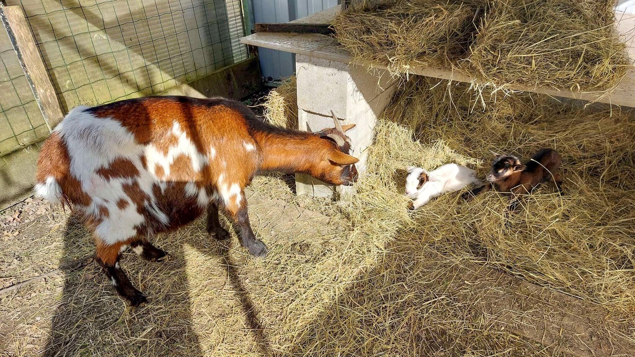 Photo of Others in Maurens