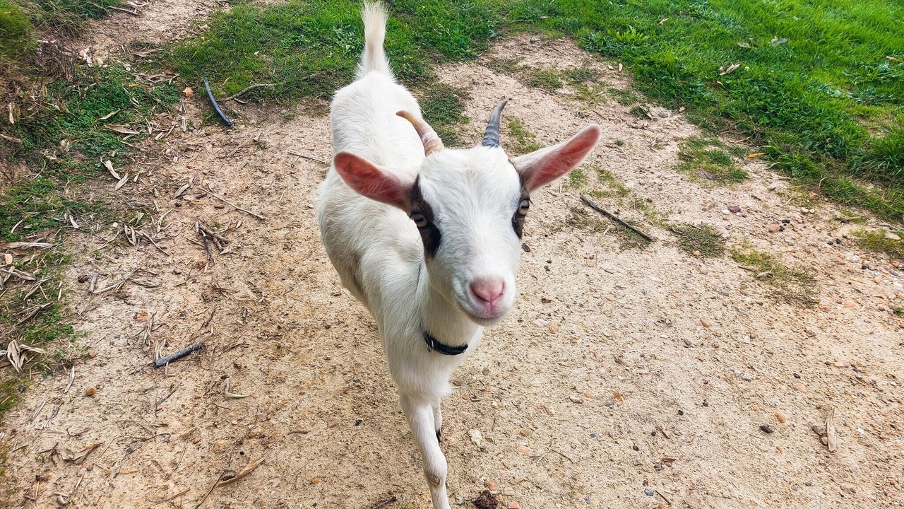 Photo of Others in Maurens