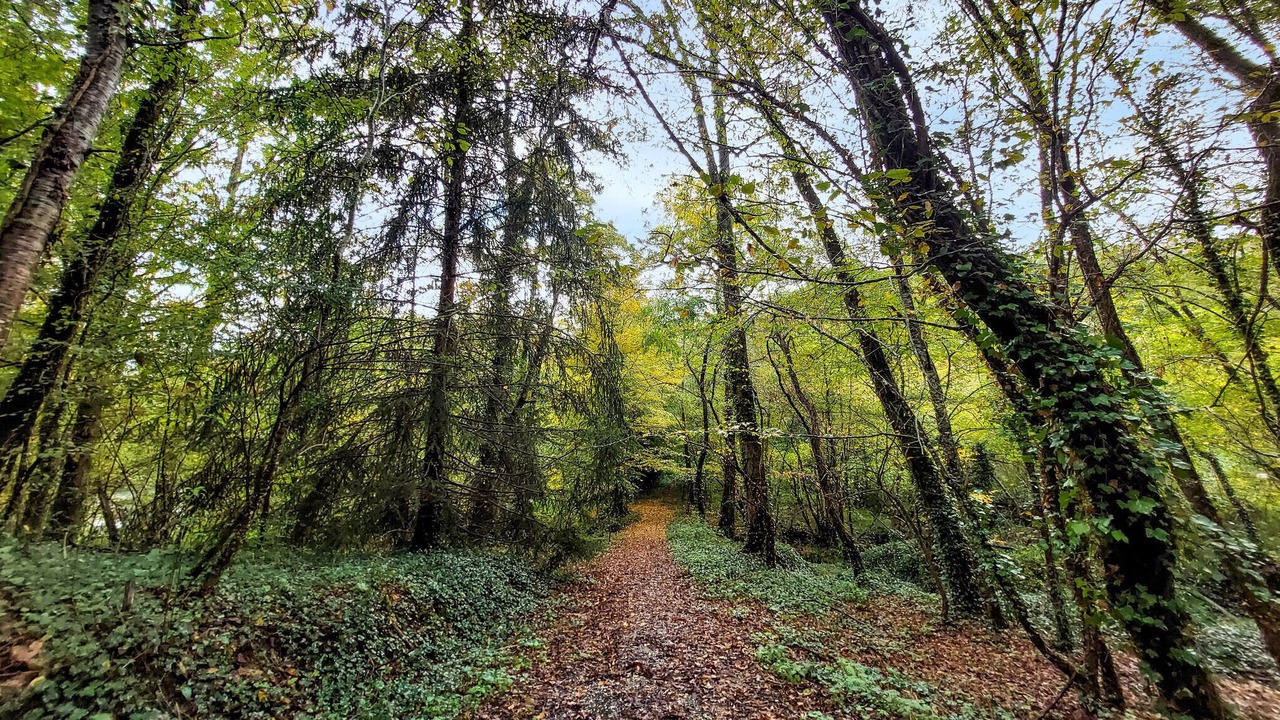 Photo of Others in Maurens