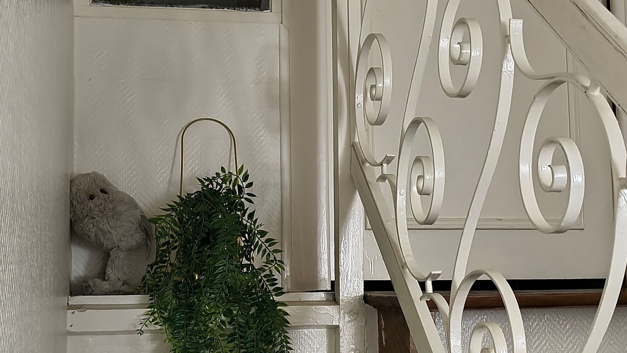 Photo of Others in La Fleche