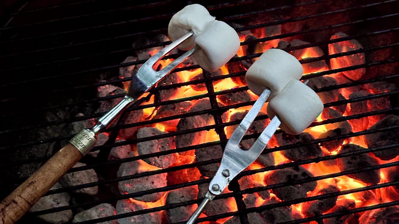 Photo of Others in Andes