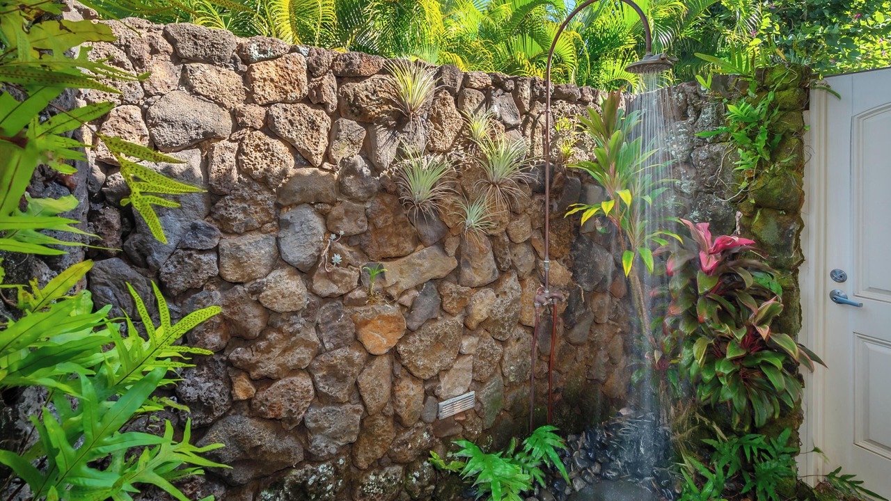 Photo of Outdoor in Poipu