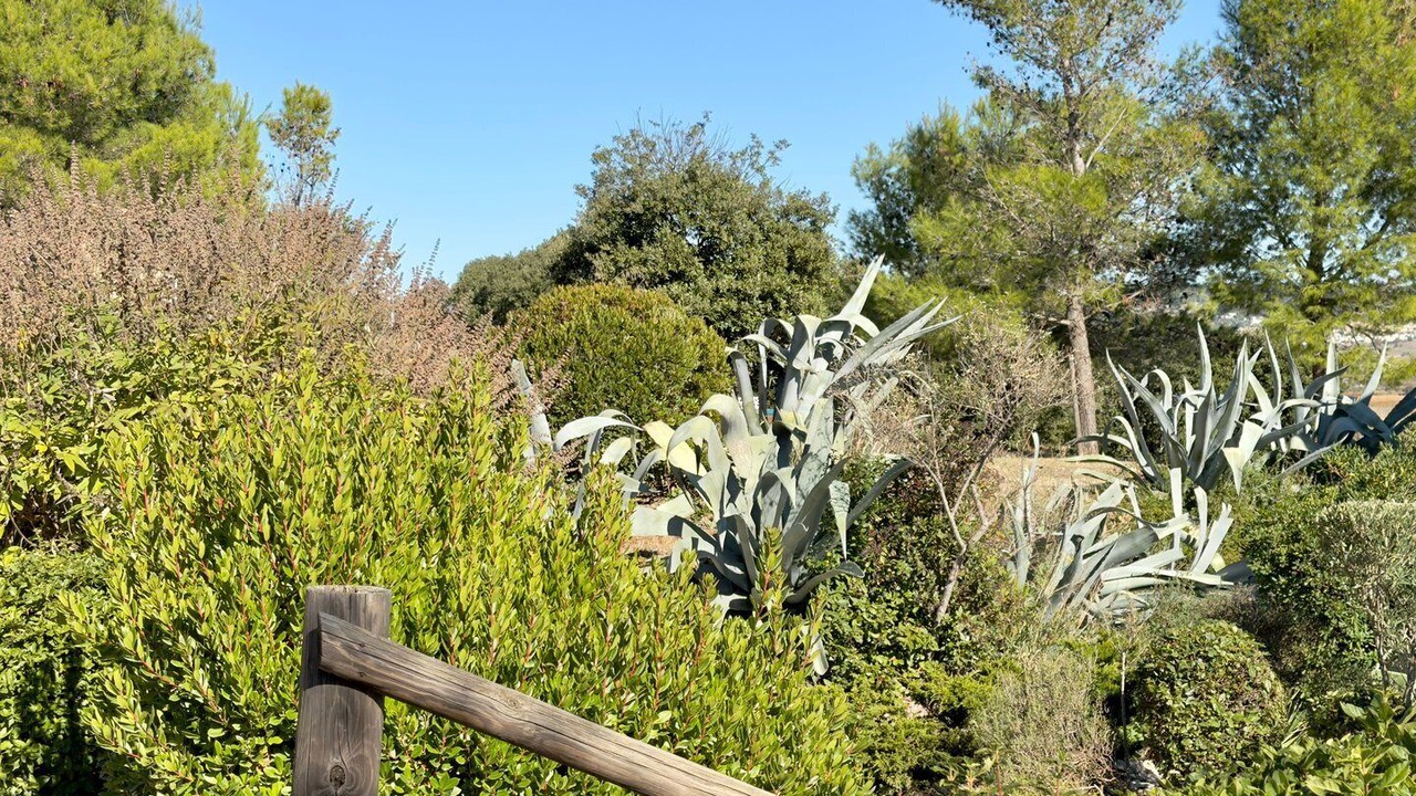 Photo of Outdoor in Calvisson