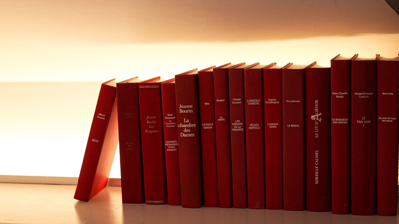 Photo of Others in Troyes