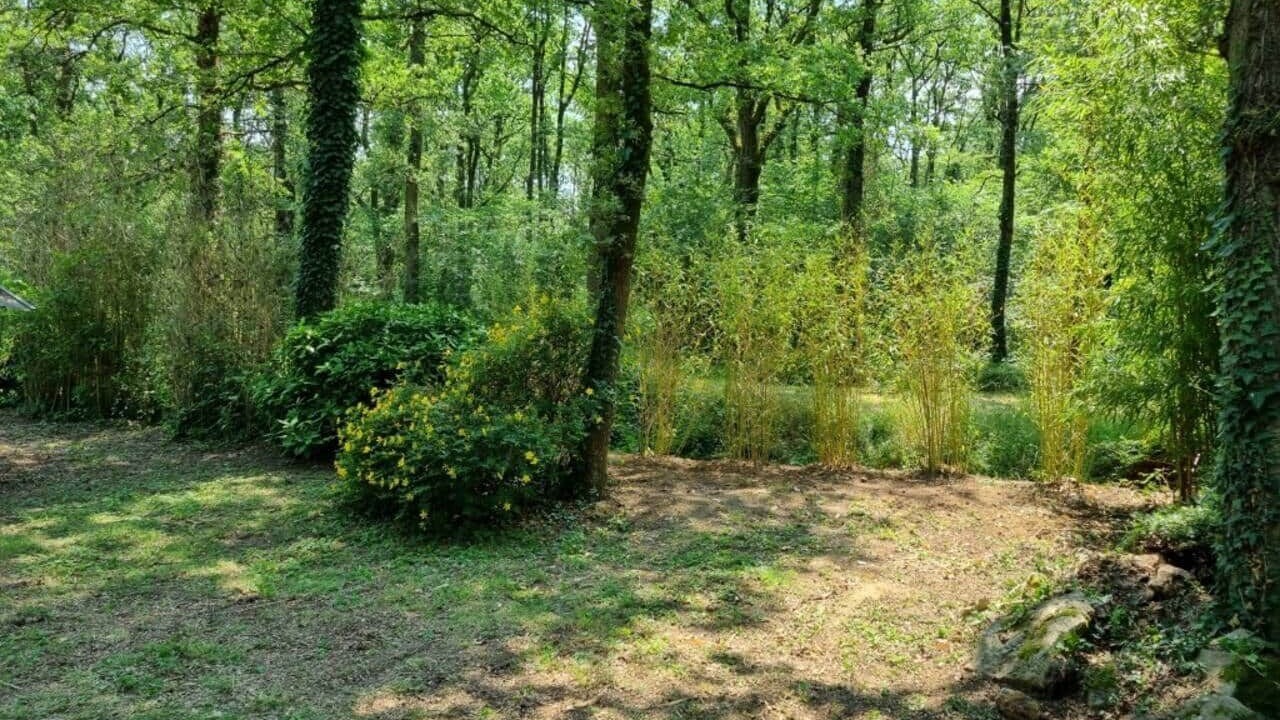 Photo of Outdoor in Saumur