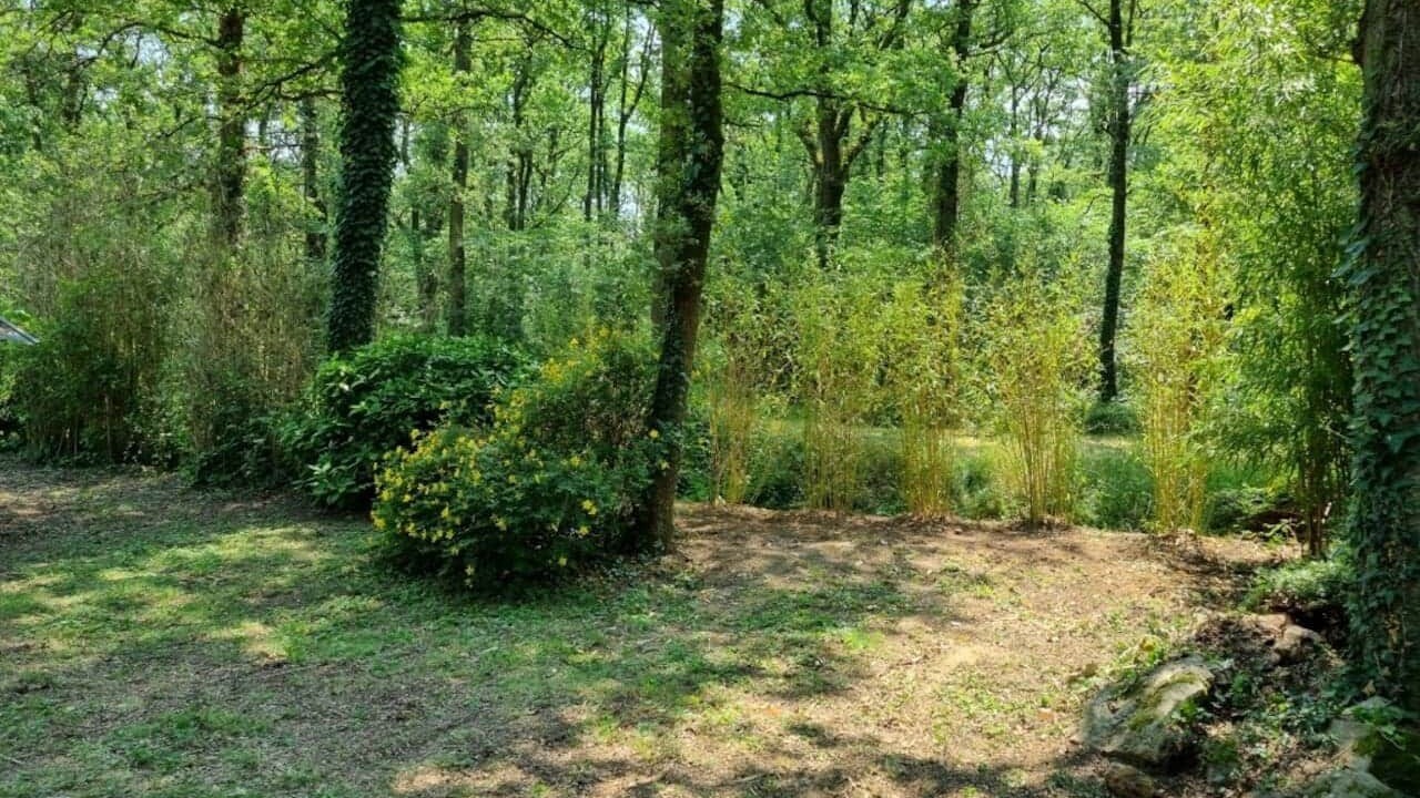 Photo of Outdoor in Saumur