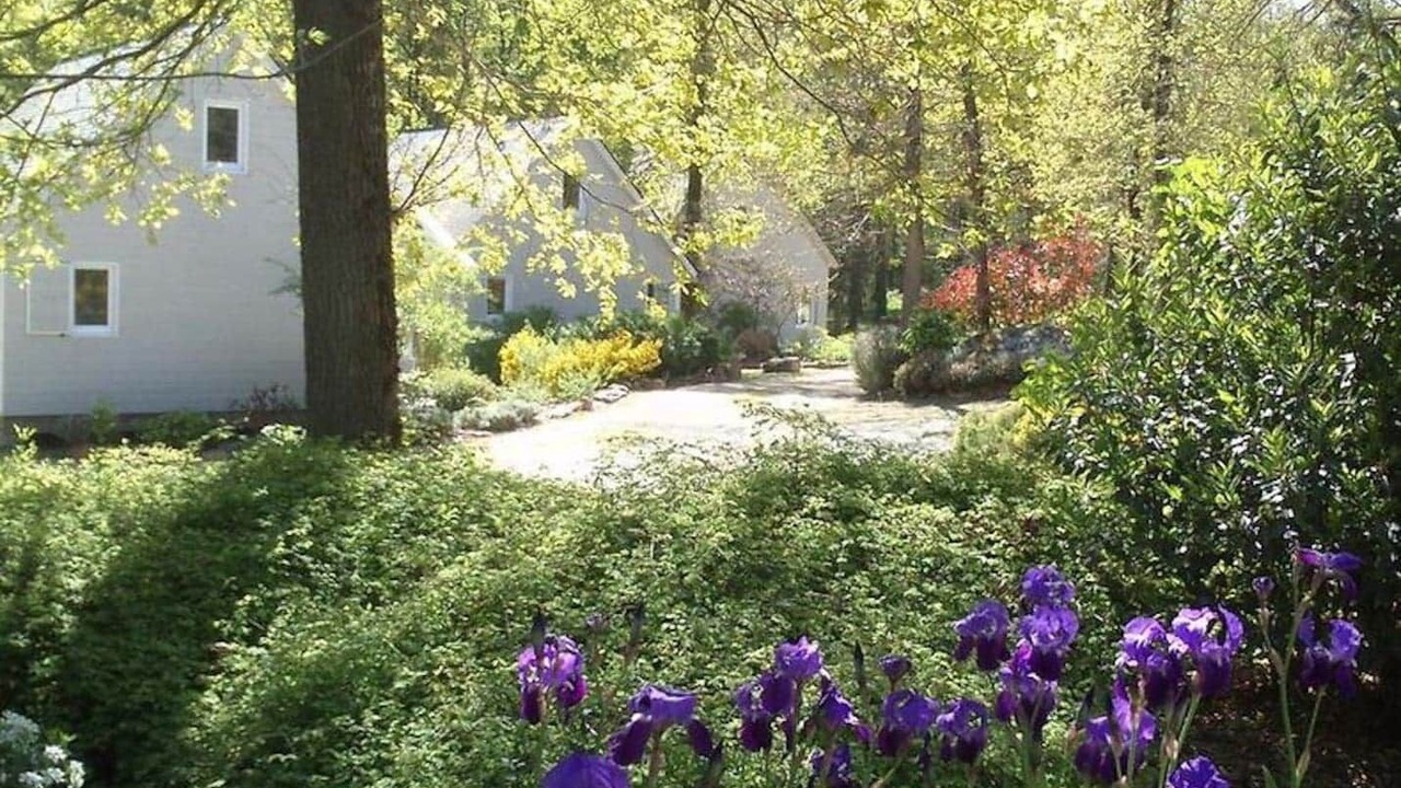 Photo of Outdoor in Saumur