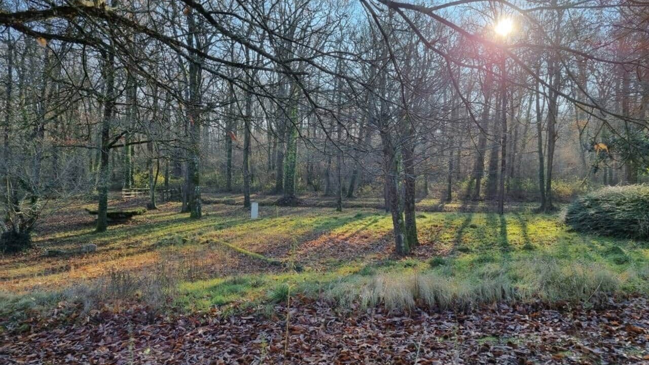 Photo of Others in Saumur