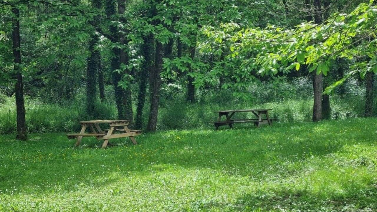 Photo of Outdoor in Saumur
