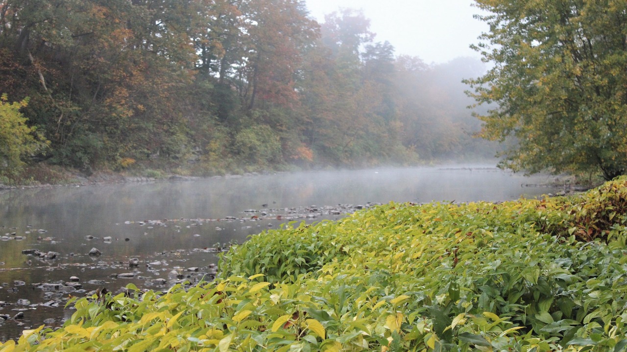 Photo of Others in Selinsgrove