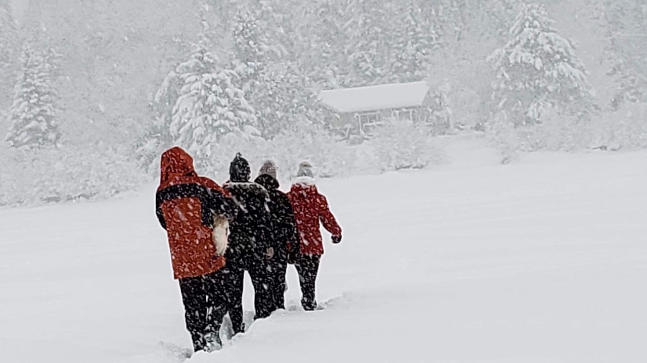 Photo of Others in Amherst