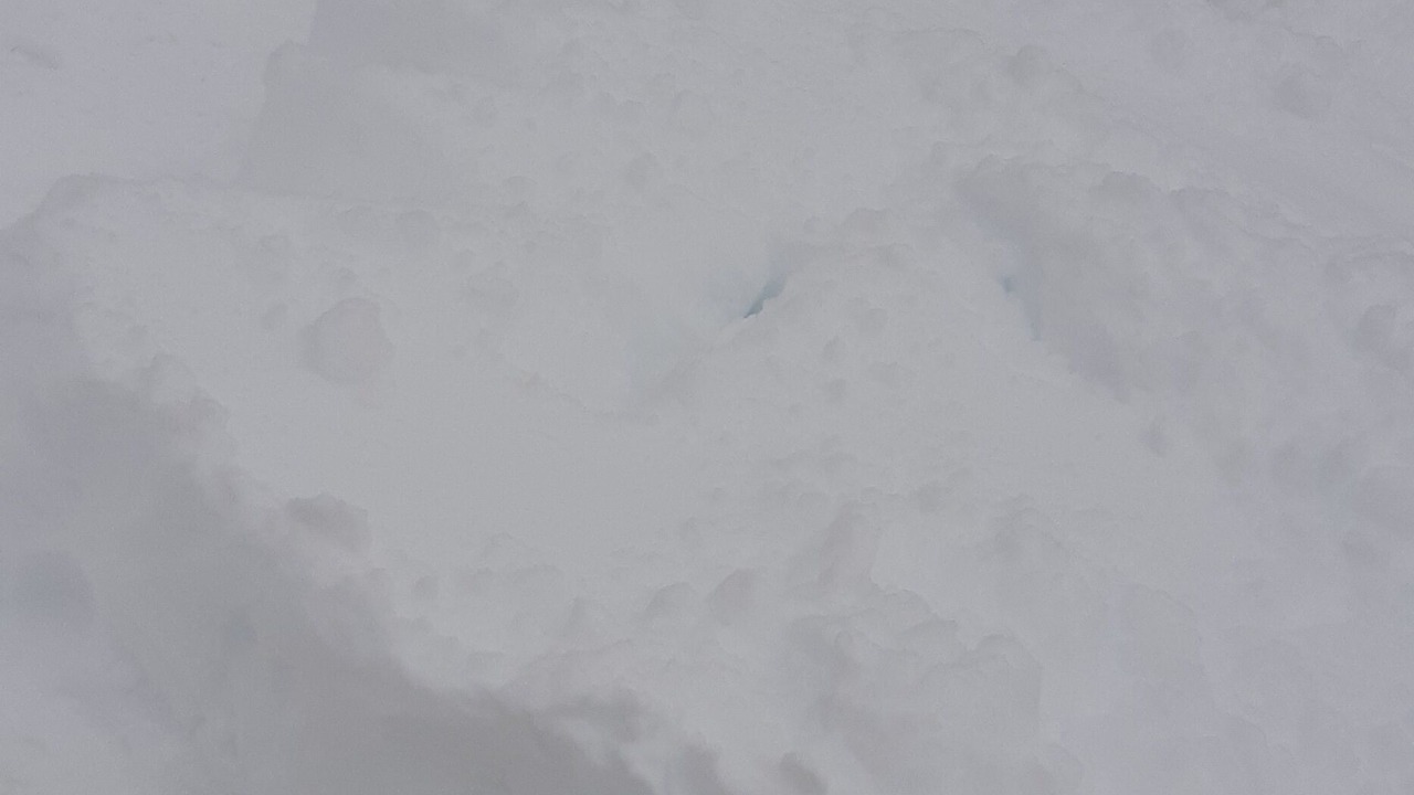 Photo of Others in Amherst
