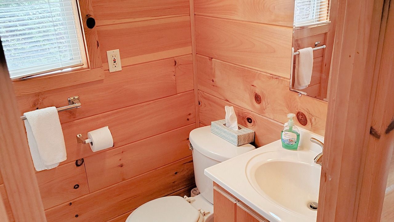 Photo of Bathroom in Jones Mills