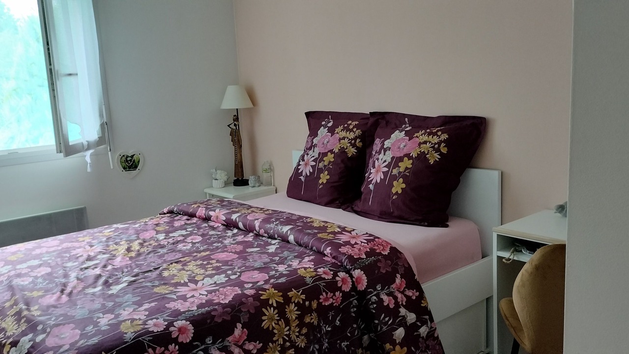 Photo of Bedroom in Thilouze