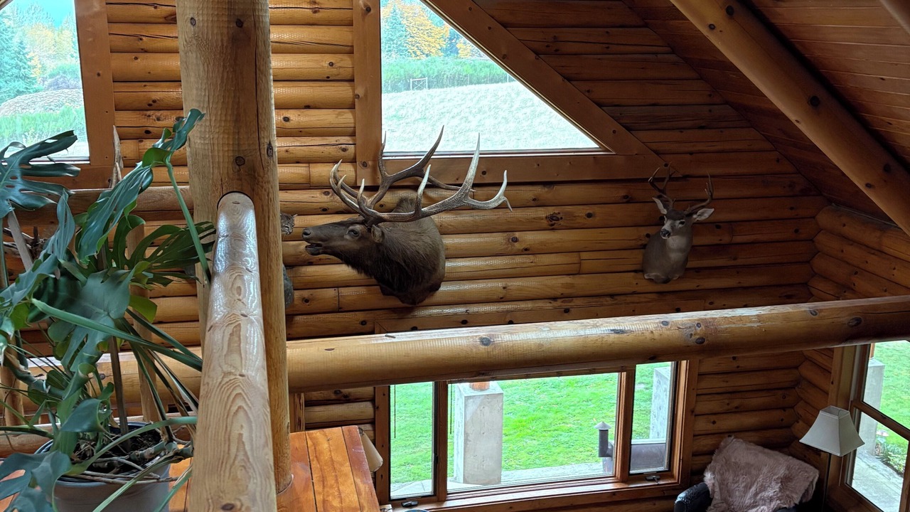 Photo of Others in Molalla