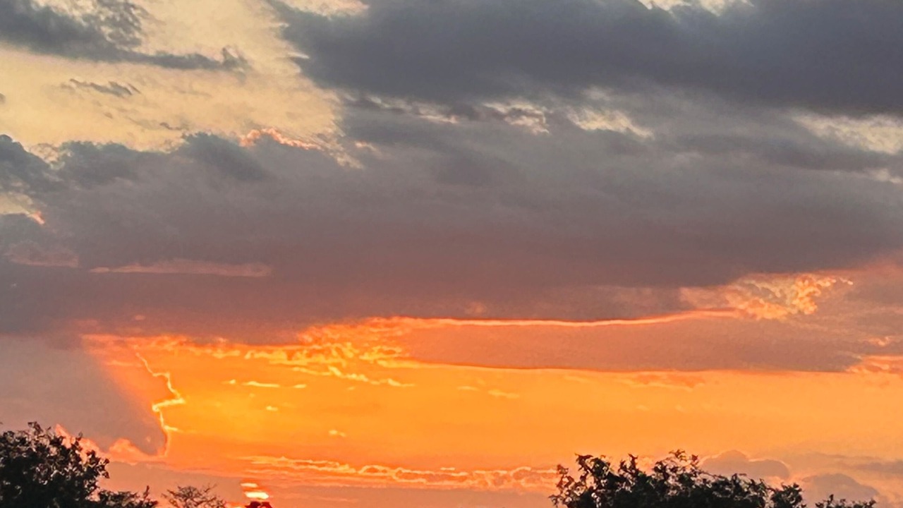 Photo of Others in Molalla