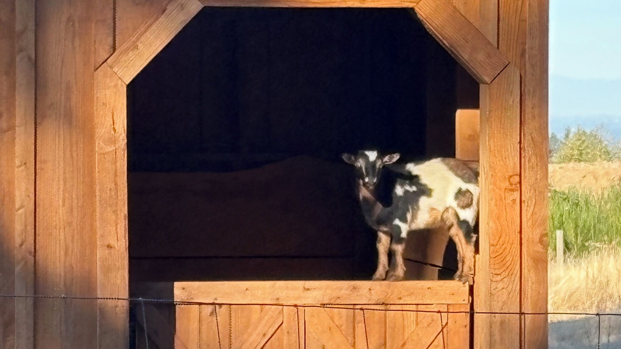 Photo of Others in Molalla