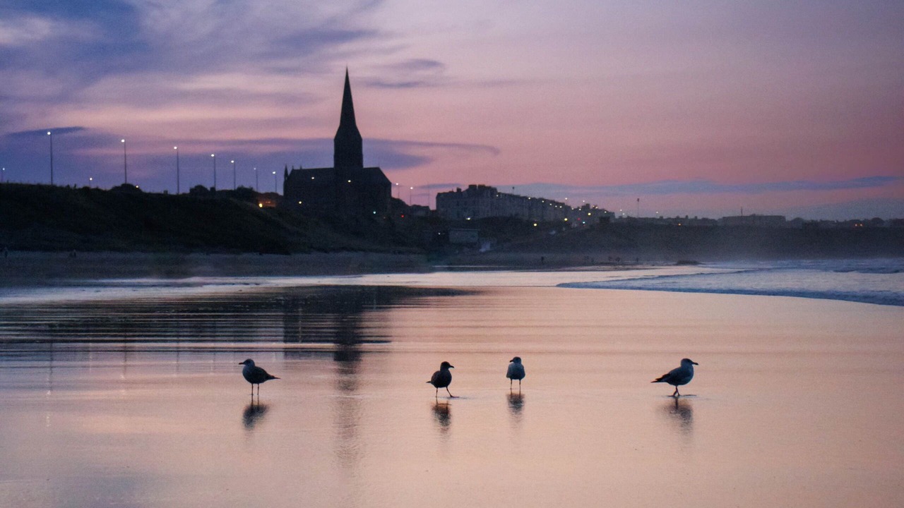 Photo of Others in Cullercoats