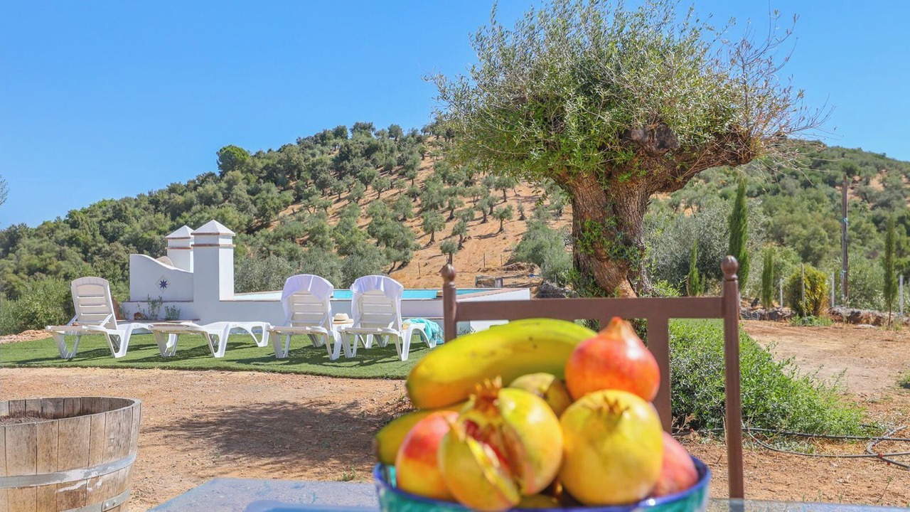 Photo of Outdoor in Constantina