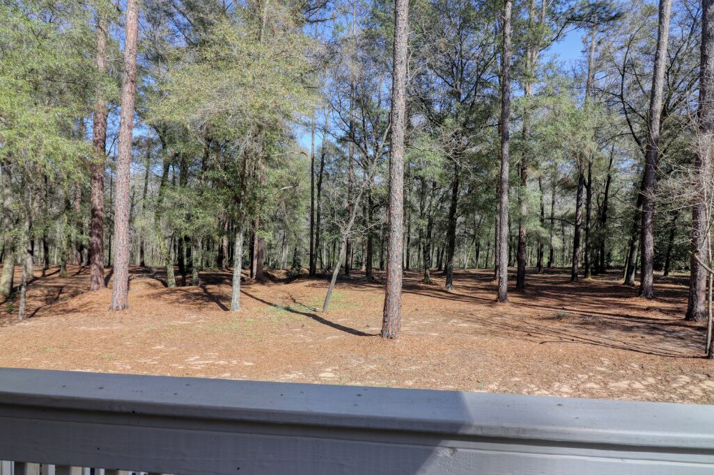 Photo of Outdoor in Fort Valley