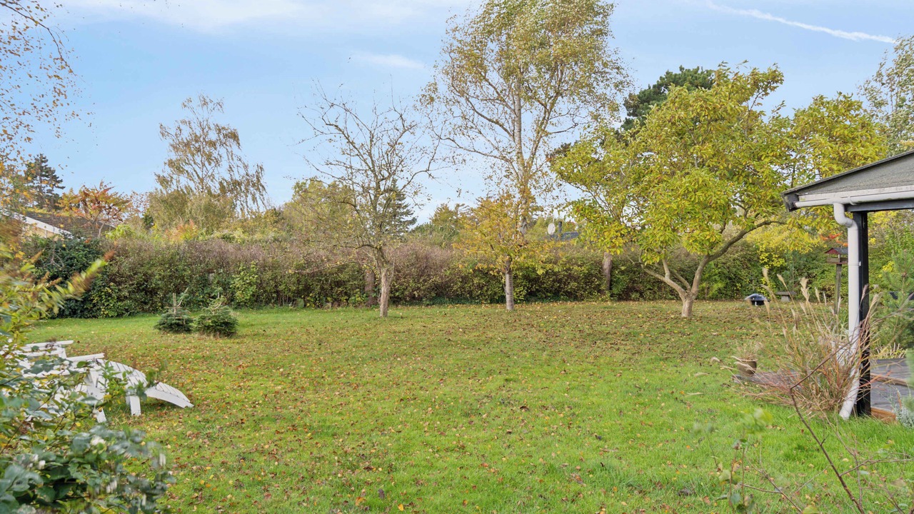 Photo of Others in Store Kongsmark