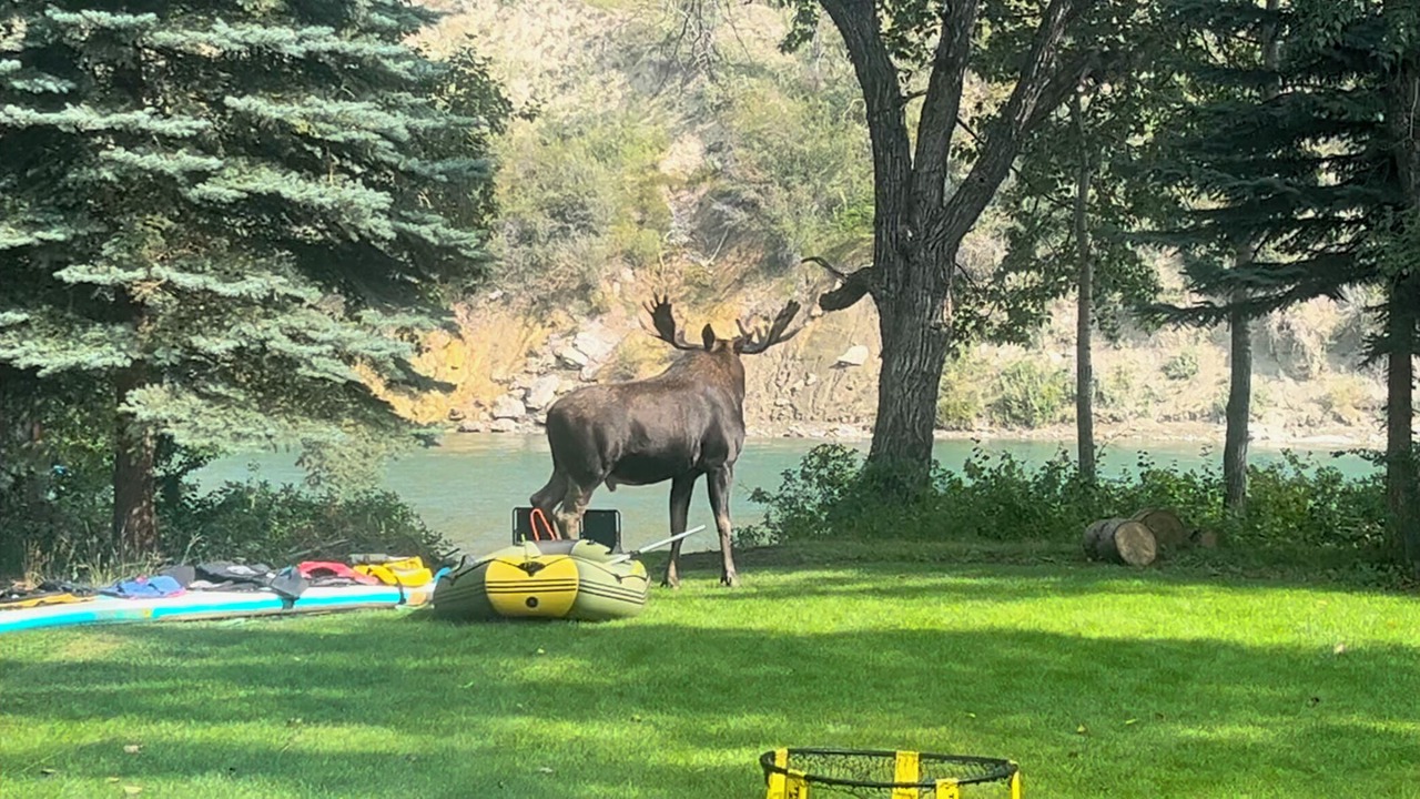 Photo of Others in Northwest Calgary