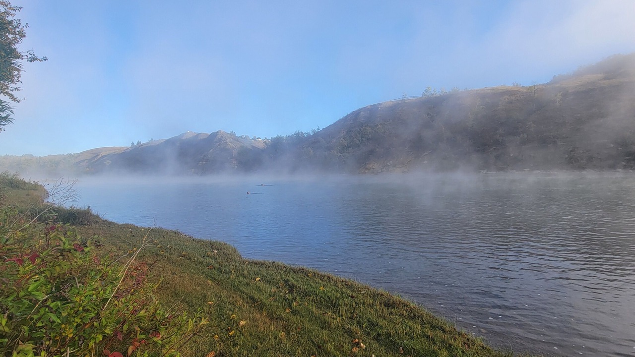 Photo of Others in Northwest Calgary