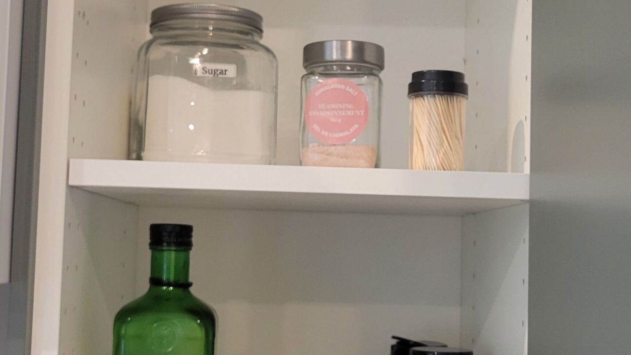 Photo of Others in Northwest Calgary