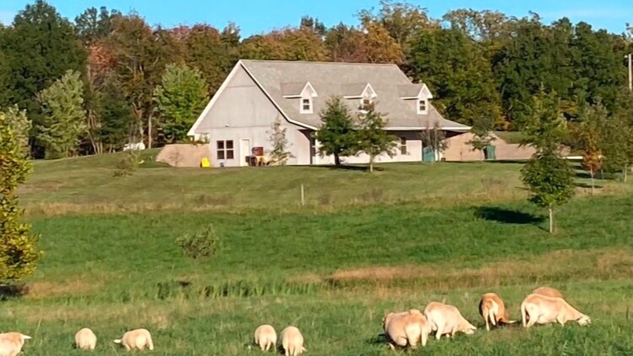 Photo of Outdoor in Sparta