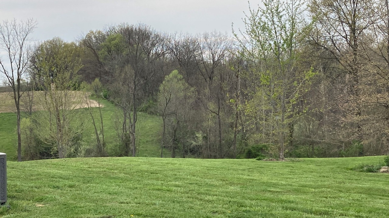 Photo of Outdoor in Sparta