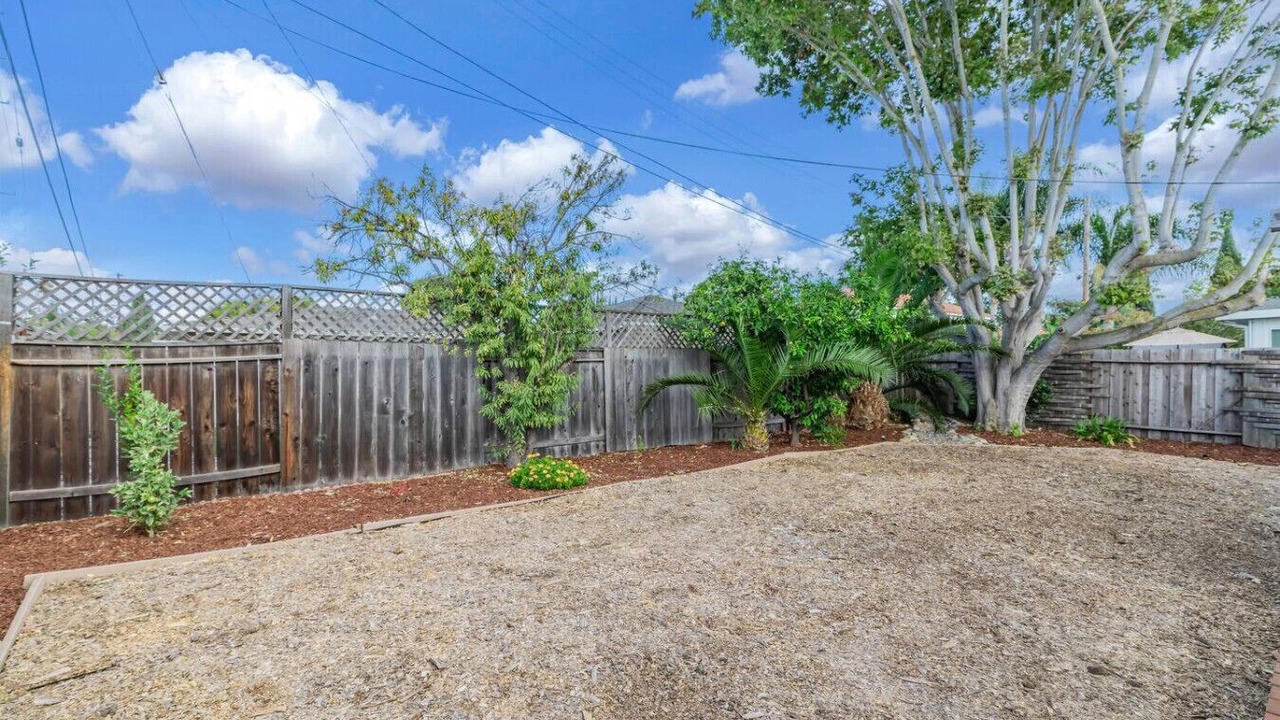 Photo of Outdoor in Santa Clara