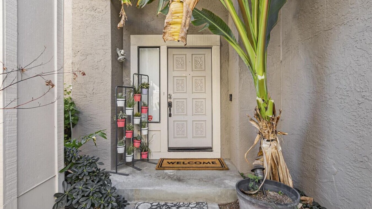 Photo of Outdoor in Edenvale