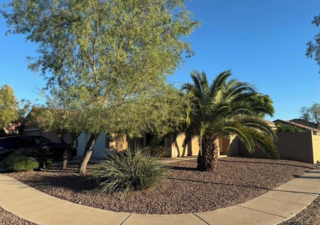 Photo of Outdoor in Phoenix