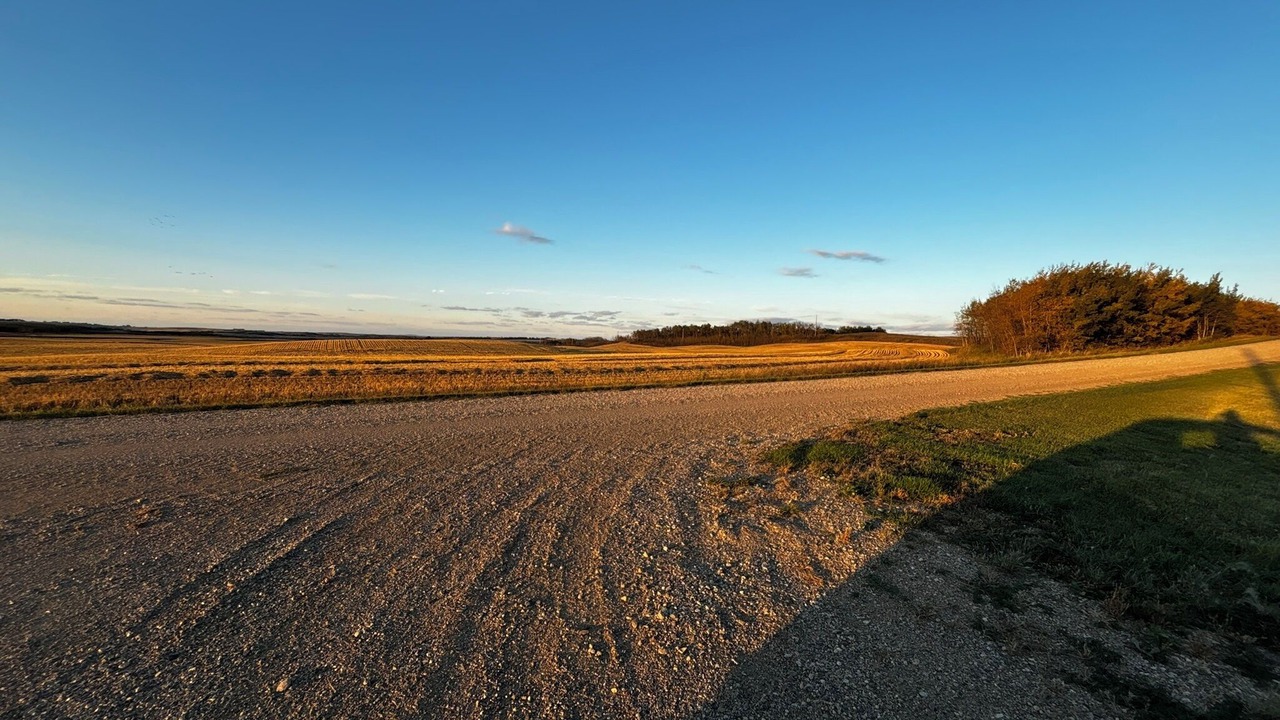 Photo of Others in Batoche