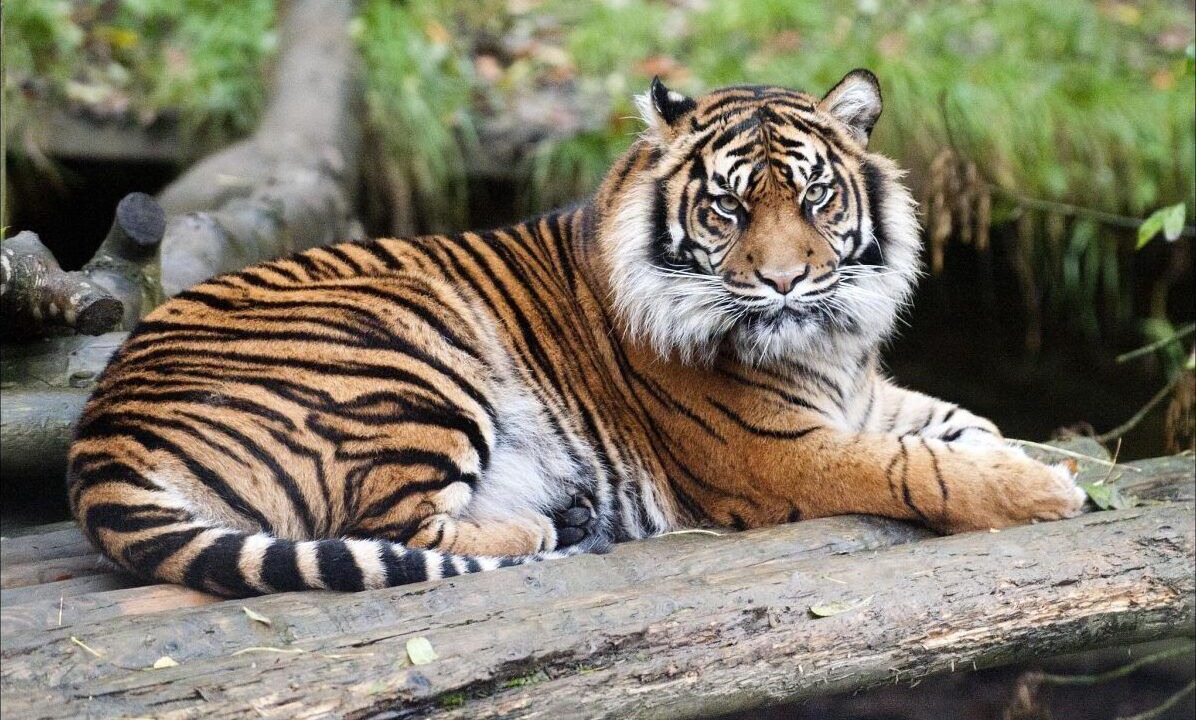 Photo of Others in Dudley