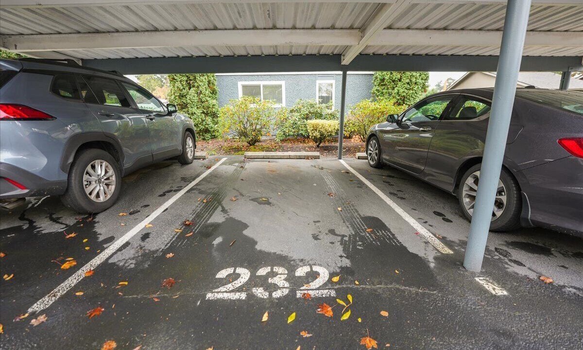 Photo of Outdoor in Cedar Mill