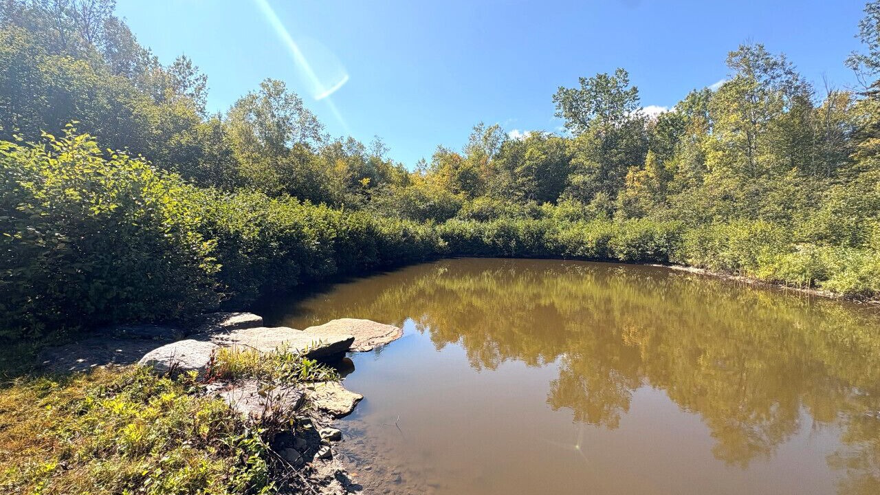 Photo of Others in West Dover