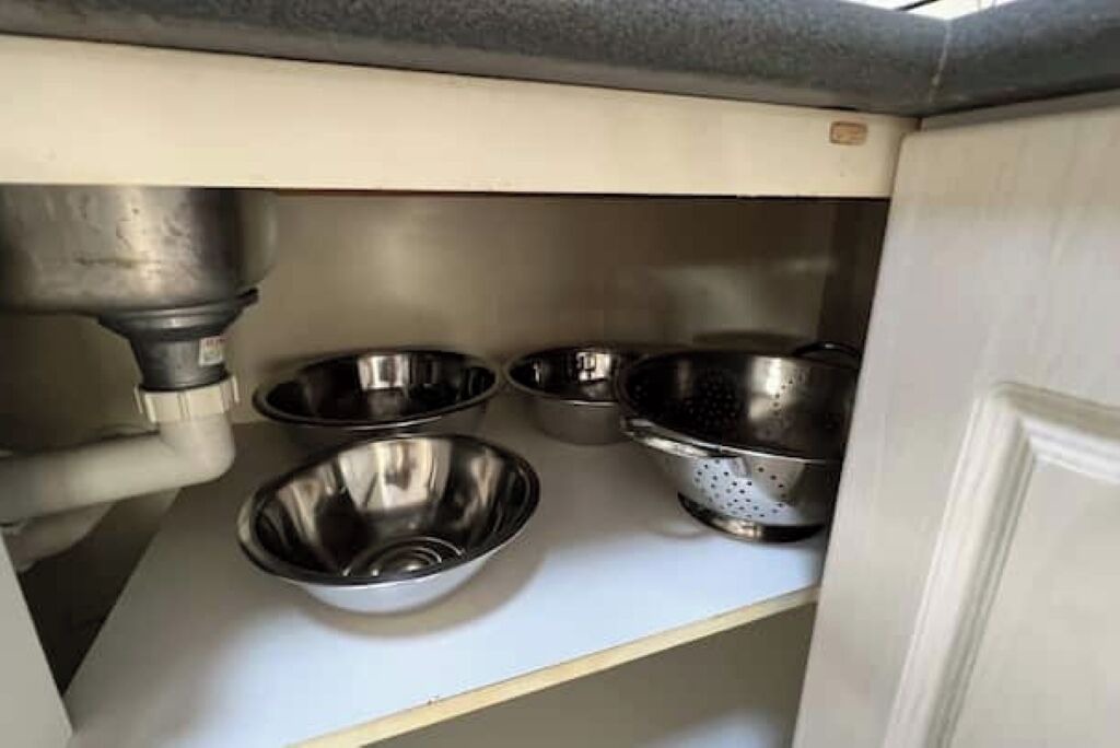 Photo of Others in Regents Park