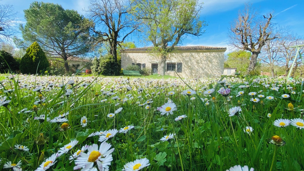 Photo of Outdoor in Andressac